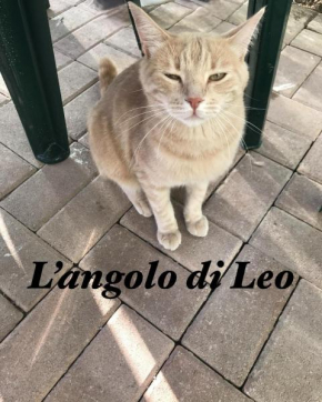 L'Angolo di Leo